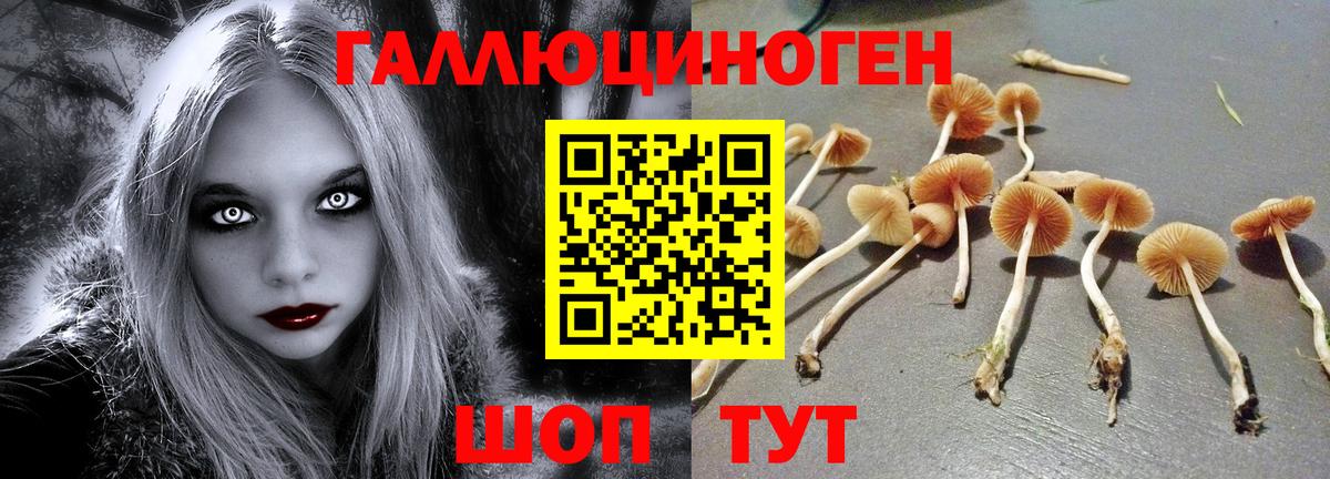 Галлюциногенные грибы мухоморы Ковров