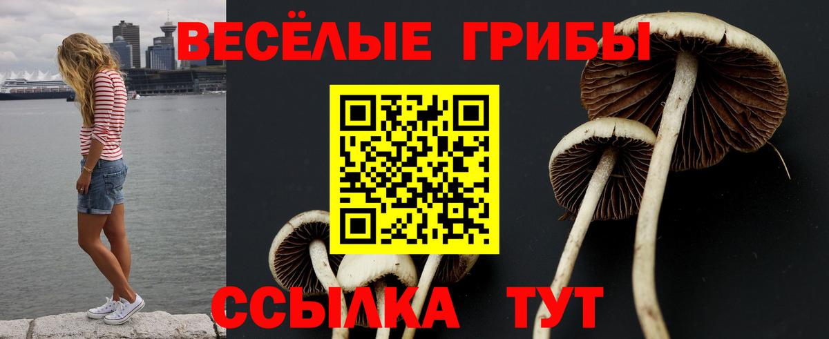 Ковров  Псилоцибиновые грибы Cubensis  Вход с VPN 